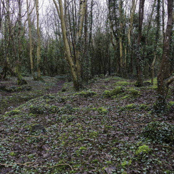 SMCC-4A Grave 4 - Unknown Plot | Roger Harrison