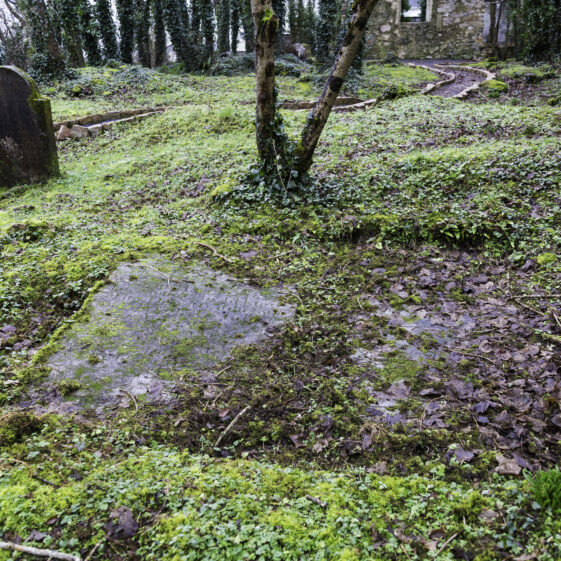 SMCC-8A Grave 8 - Unknown | Roger Harrison