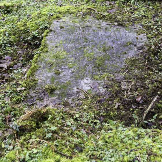 SMCC-8B Grave 8 - Unknown | Roger Harrison