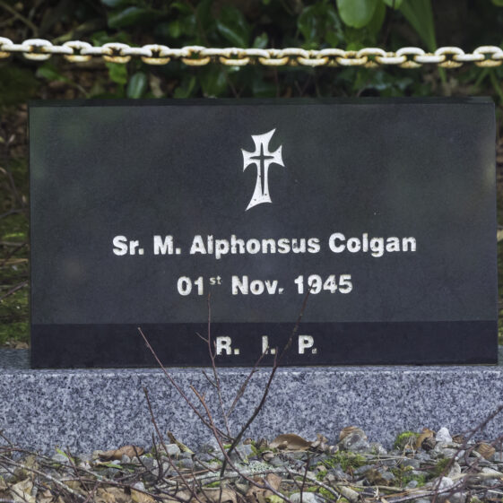 Grave 10 - Colgan | Roger Harrison