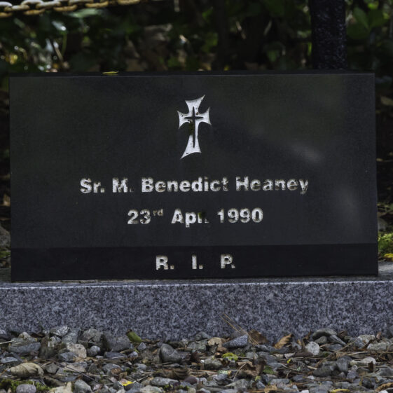 Grave 15 - Heaney | Roger Harrison