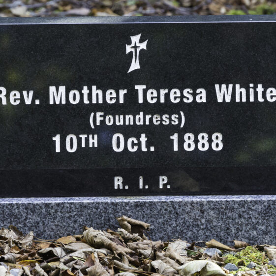 Grave 22 - White | Roger Harrison