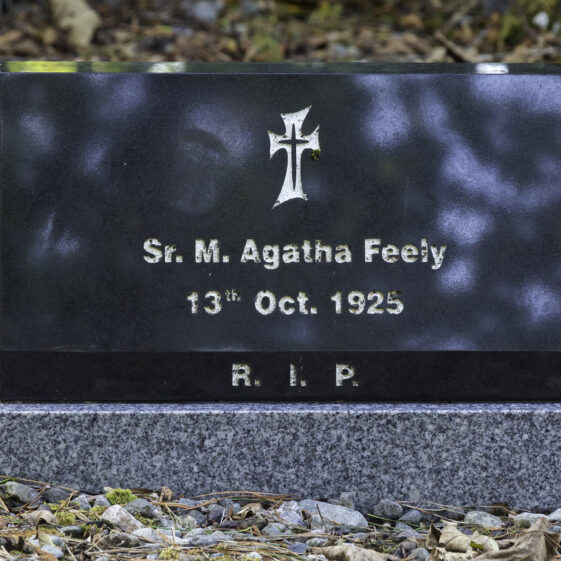 Grave 24 - Feely | Roger Harrison