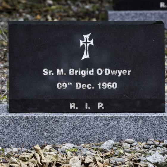 Grave 28 - O'Dwyer | Roger Harrison