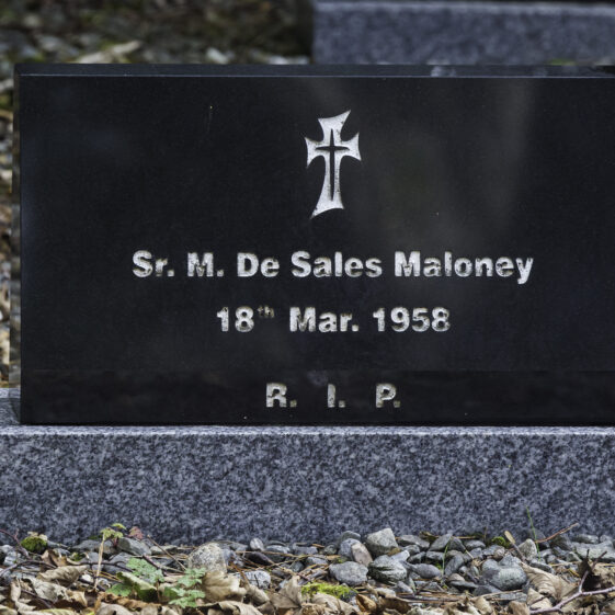 Grave 29 - Maloney | Roger Harrison