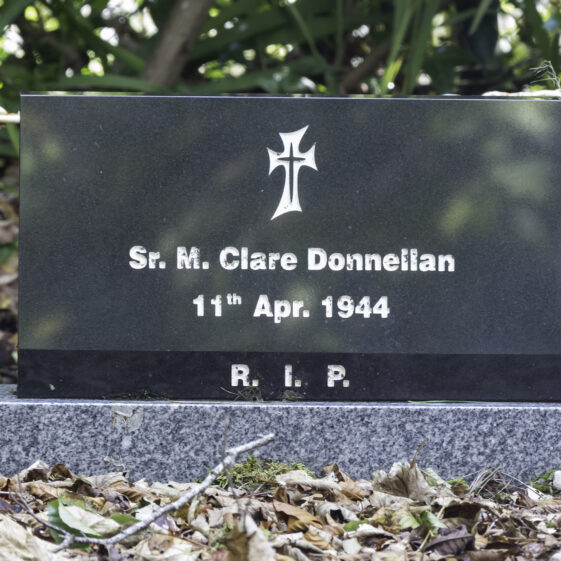 Grave 2 - Donnellan | Roger Harrison
