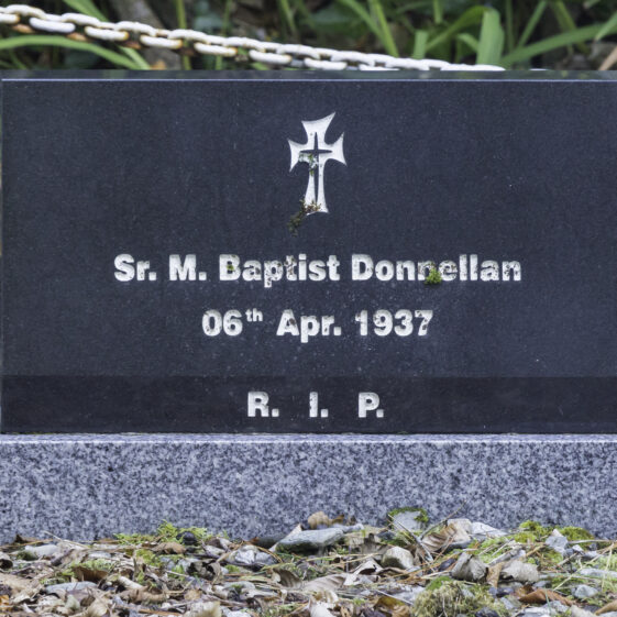 Grave 3 - Donnellan | Roger Harrison