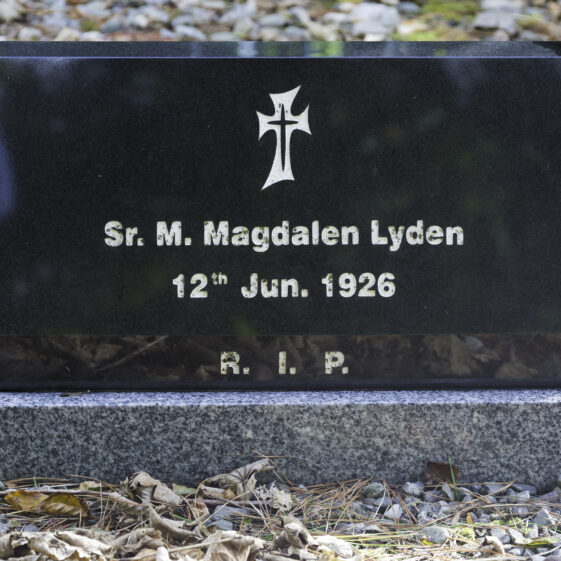Grave 41 - Lyden | Roger Harrison