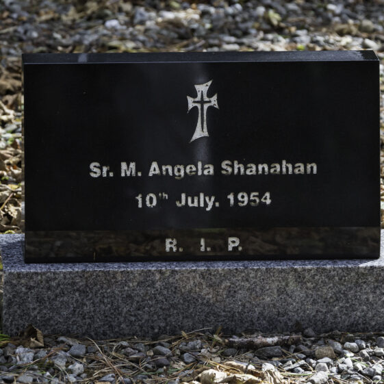 Grave 44 - Shanahan | Roger Harrison