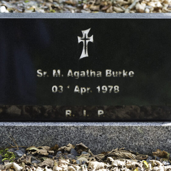 Grave 47 - Burke | Roger Harrison