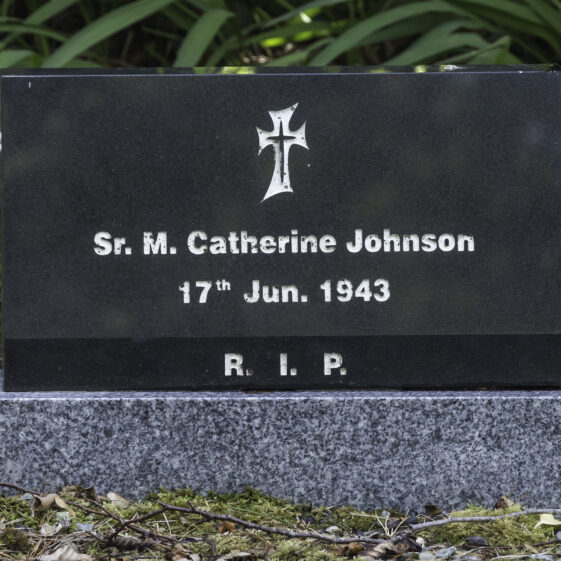 Grave 4 - Johnson | Roger Harrison