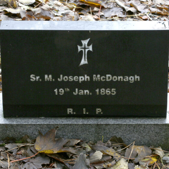 Grave 50 - McDonagh | Roger Harrison