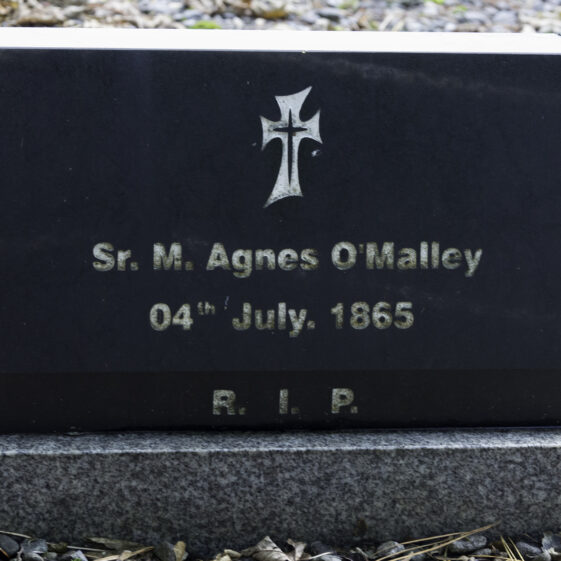 Grave 51 - O'Malley | Roger Harrison