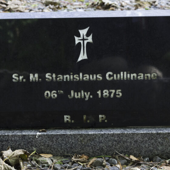 Grave 54 - Cullinane | Roger Harrison