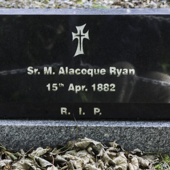 Grave 55 - Ryan | Roger Harrison