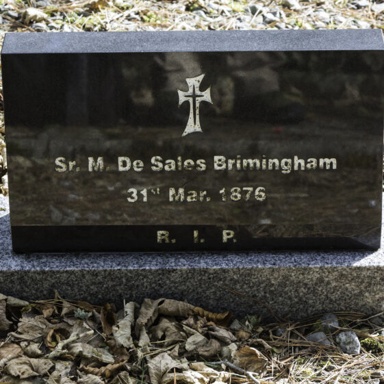 Grave 59 - Brimingham | Roger Harrison