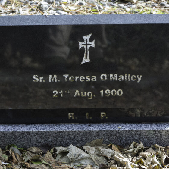 Grave 60 - O'Malley | Roger Harrison