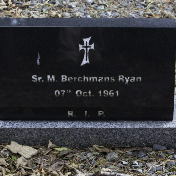 Grave 61 - Ryan | Roger Harrison