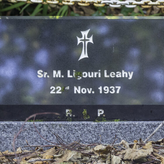 Grave 6 - Leahy | Roger Harrison