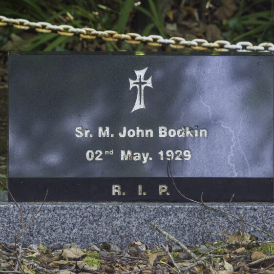 Grave 8 - Bodkin | Roger Harrison
