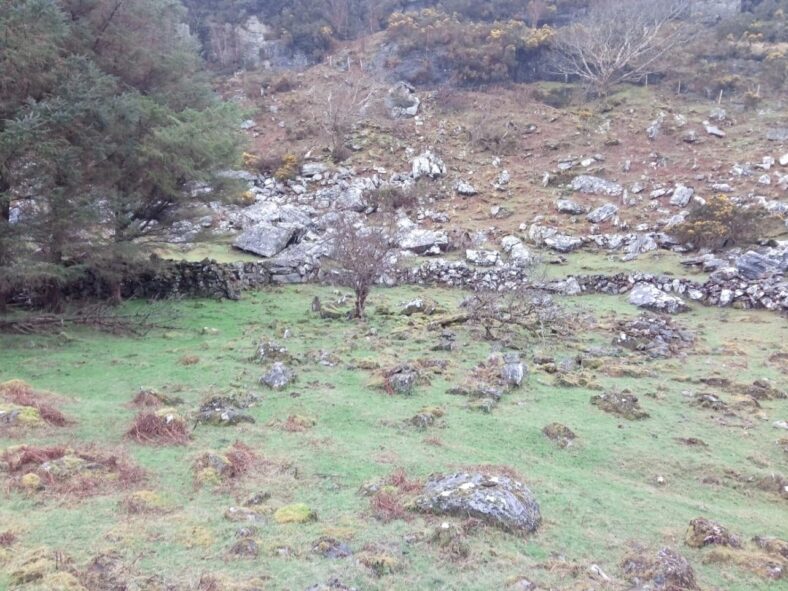 Children's Graveyard | Tomas O Flatharta