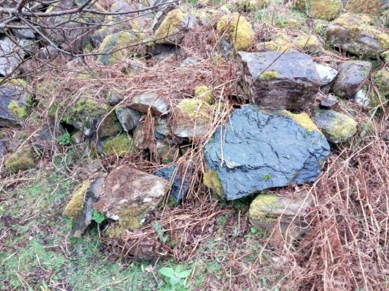 Ruins of Tobarfeheen holy well | Tomas O Flatharta
