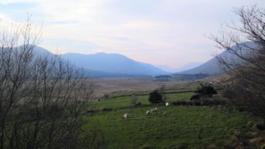 Munterowen East