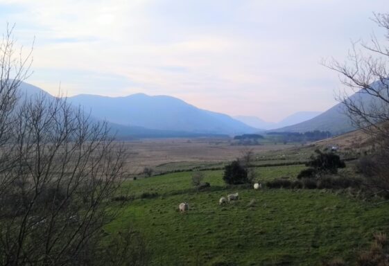 Munterowen East