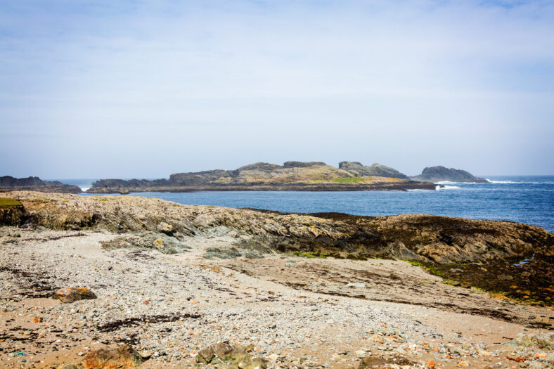 Stags of Bofin. - Lat/Long: 53° 37.8348N, 10° 15.5820W | Roger Harrison