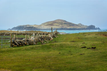 Crow or Cruagh Island | Roger Harrison