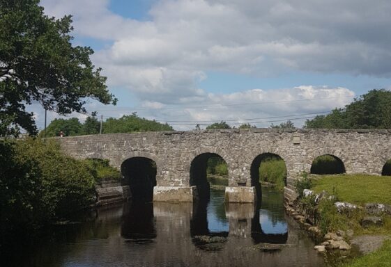 Abbeyknockmoy