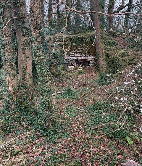 Annaghdown Lime Kiln | Annaghdown Heritage Society