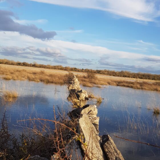 Mugganaugh boreen | Norma Hanley