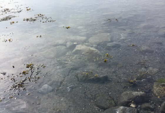 Still waters run deep