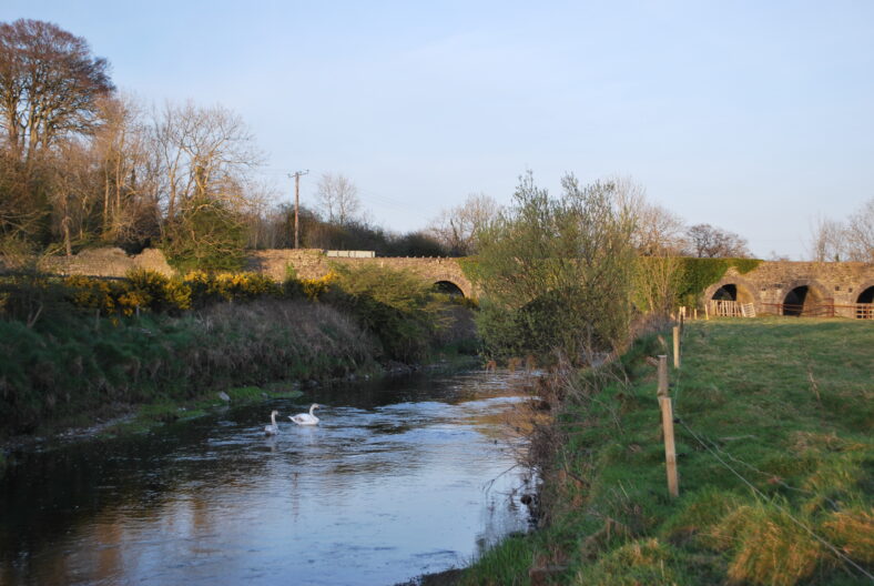 Pallas Bridge | Paul Connolly
