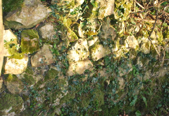 Ha-Ha Wall