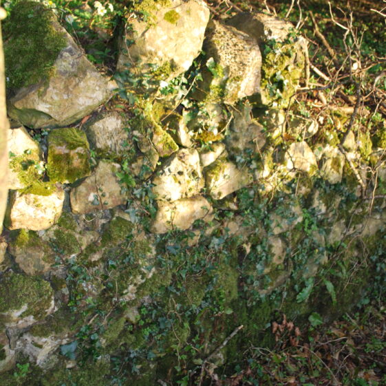 Ha-Ha Wall | Paul Connolly