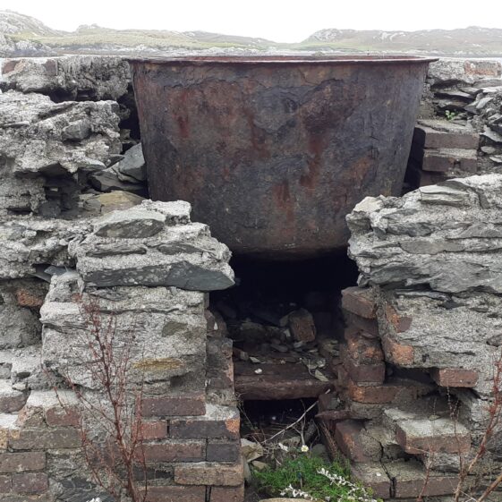Barking Pan | Photo: Christy Cunniffe