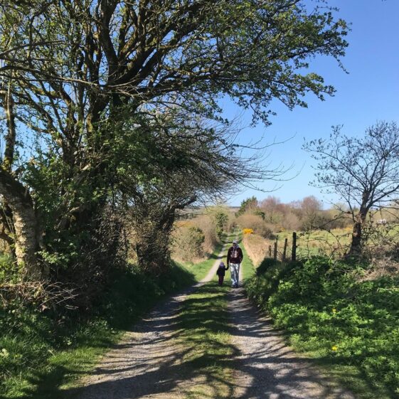 The big walk | Sara Slattery