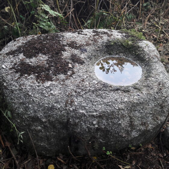 Bullaun Stone at Teampeall Beag Clooniff Moycullen | Photo: Hazel Morrison 