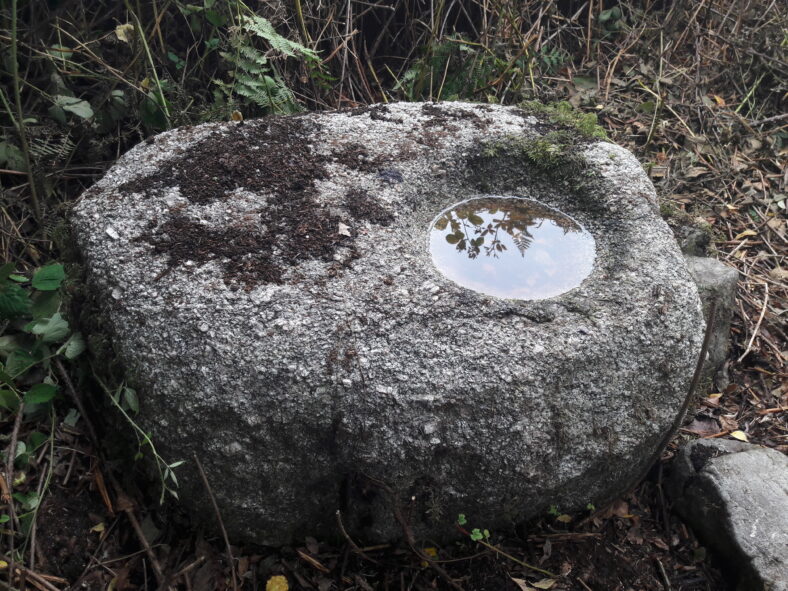 Bullaun Stone at Teampeall Beag Clooniff Moycullen | Photo: Hazel Morrison 