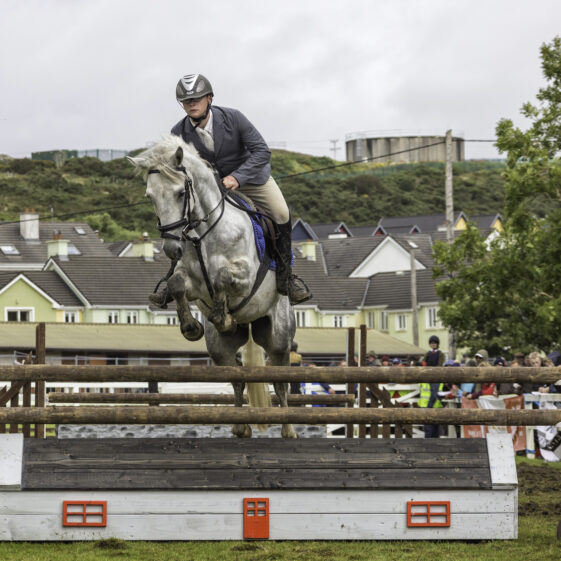 Connamara Ponies | Roger Harrison