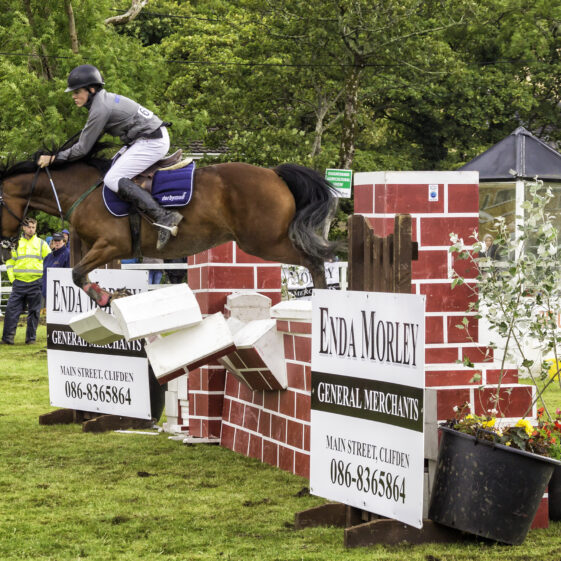 Connamara Ponies | Roger Harrison