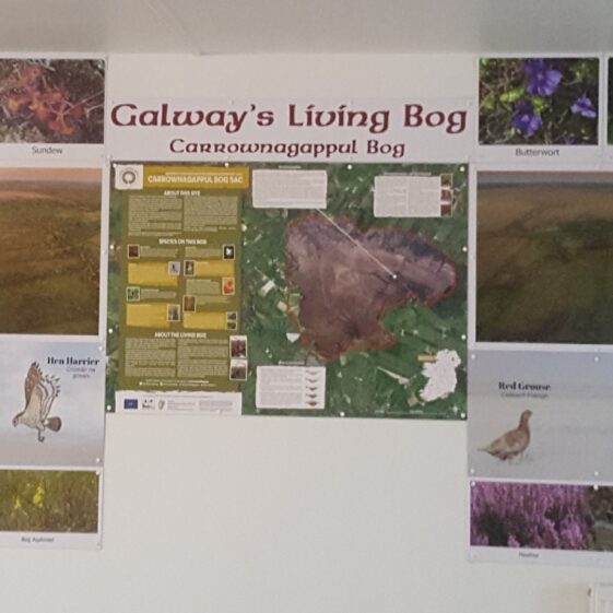 Carrownagappul Bog | Galway Telework