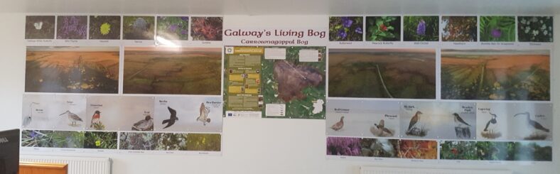 Carrownagappul Bog | Galway Telework