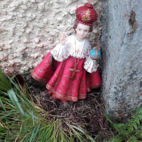 Child of Prague Tuam | Clare Doyle