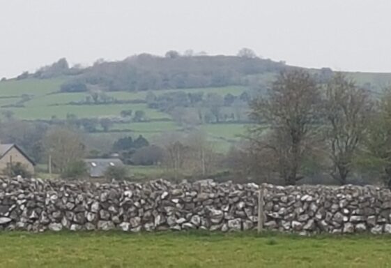 Claretuam