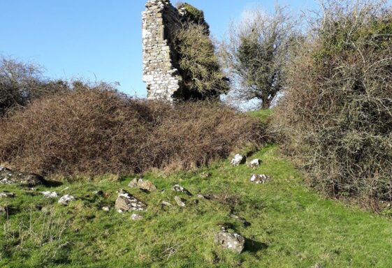 Coolfin Castle