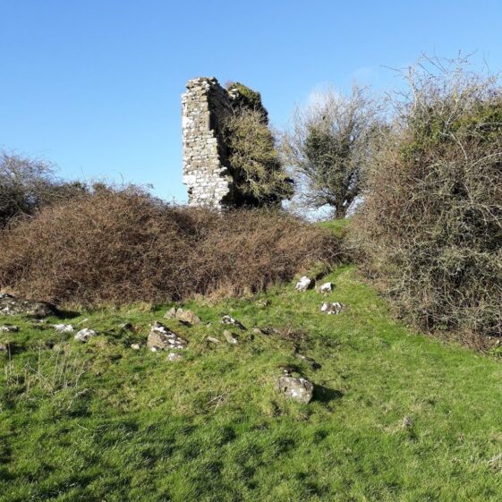 Coolfin Castle | Zena Hoctor