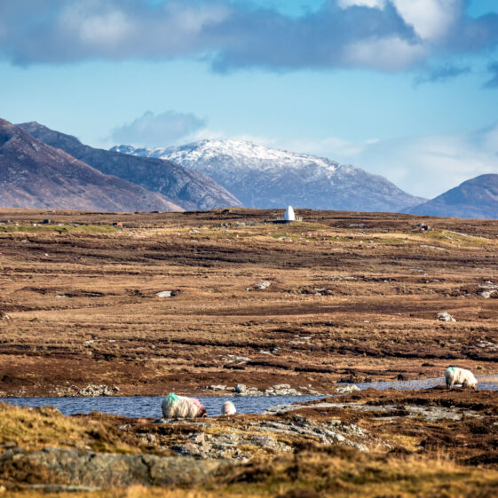The landing place of the first transatlantic flight by Alcock and Browne in 1919. The white monument marks the spot of the landing.  | Roger Harrison